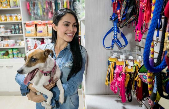 אביזרים לחיות מחמד2