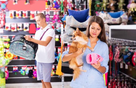 אילו מוצרים מיועדים לחיות מחמד? ‏2