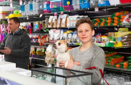 כיצד לבחור מזון לחתולים בחנות אינטרנטית?2